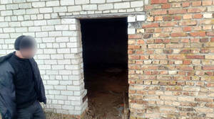 Брянца приговорили к 18 с половиной годам за госизмену и подготовку теракта