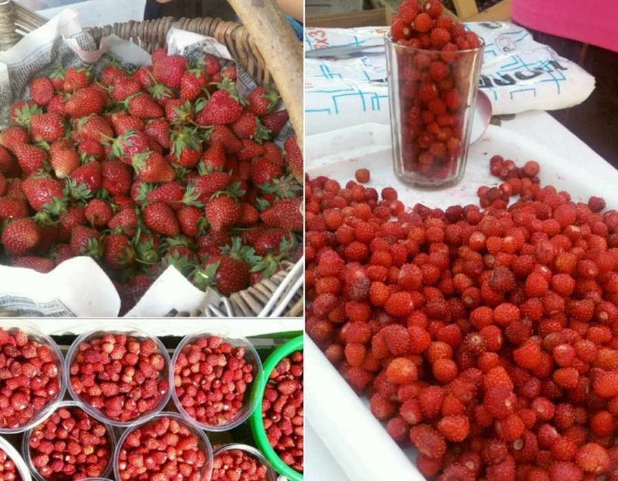 В Клинцах на рынке торговали радиоактивными лесными ягодами