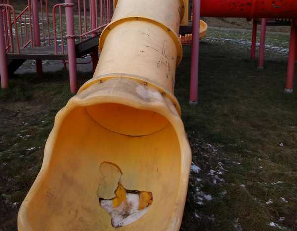 В парке «Звездный» в Брянске изуродовали детскую площадку