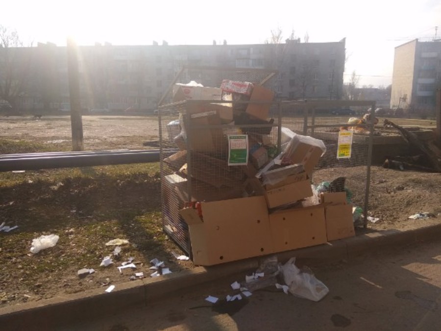 Жители Брянска вместо раздельного сбора мусора устроили свалки