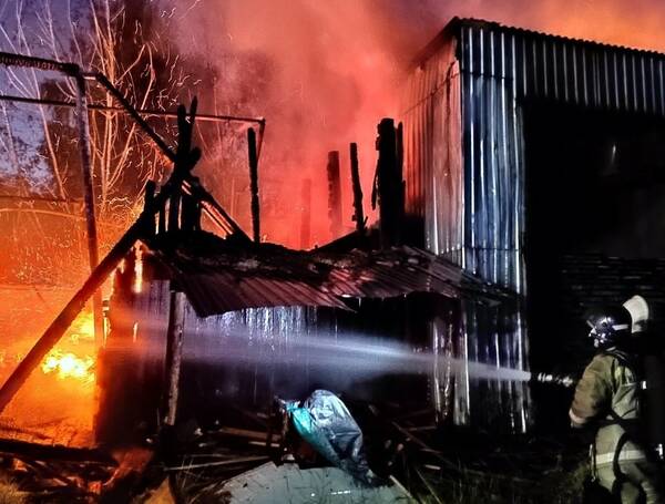 Под Брянском потушили крупный пожар на пилораме в Супонево