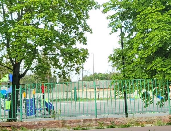 Брянцев удивило благоустройство детской площадки в парке «Юность»
