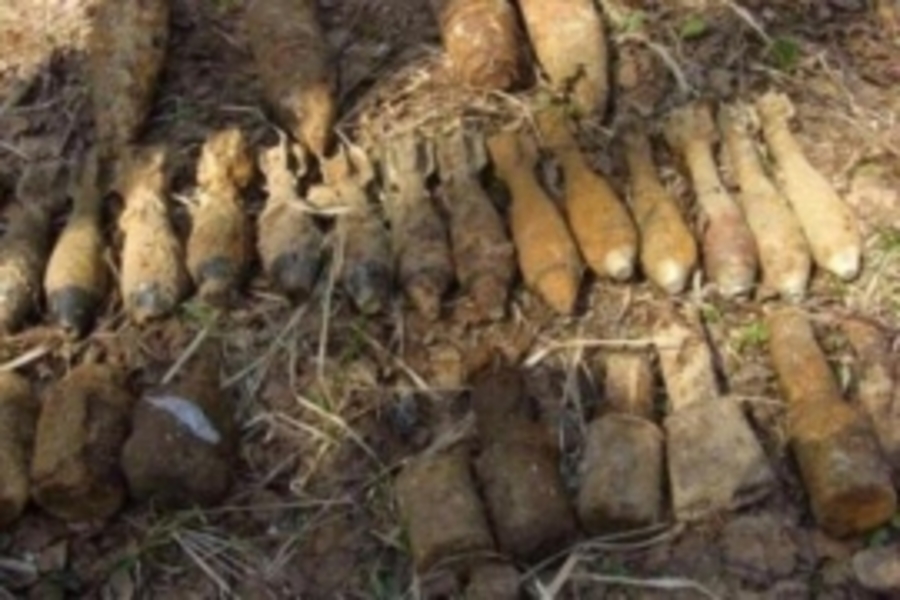 В Почепском районе нашли 32 артиллерийских снаряда и 2 мины