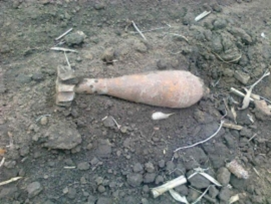 В Карачевском районе нашли боеприпасы времен войны‍