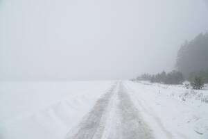 На Брянскую область обрушился плотный туман