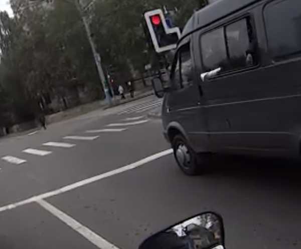 В Брянске сняли на видео «хрюшу на дороге»