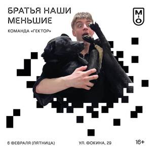 6 февраля в Брянске пройдет встреча с зооволонтерами «Гектор»