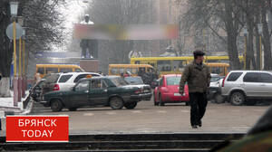 Брянская область заняла 39 место в рейтинге регионов по уровню преступности