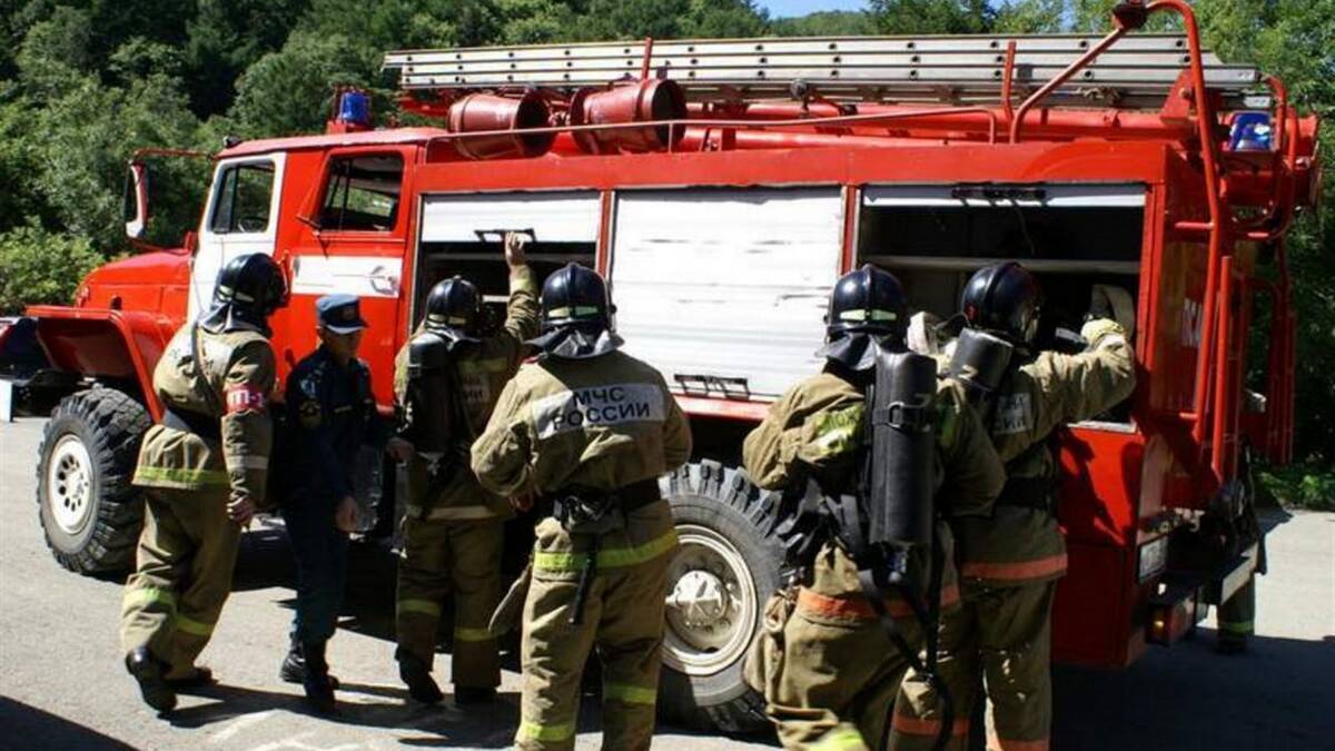 В Брянской области за сутки потушили 19 пожаров