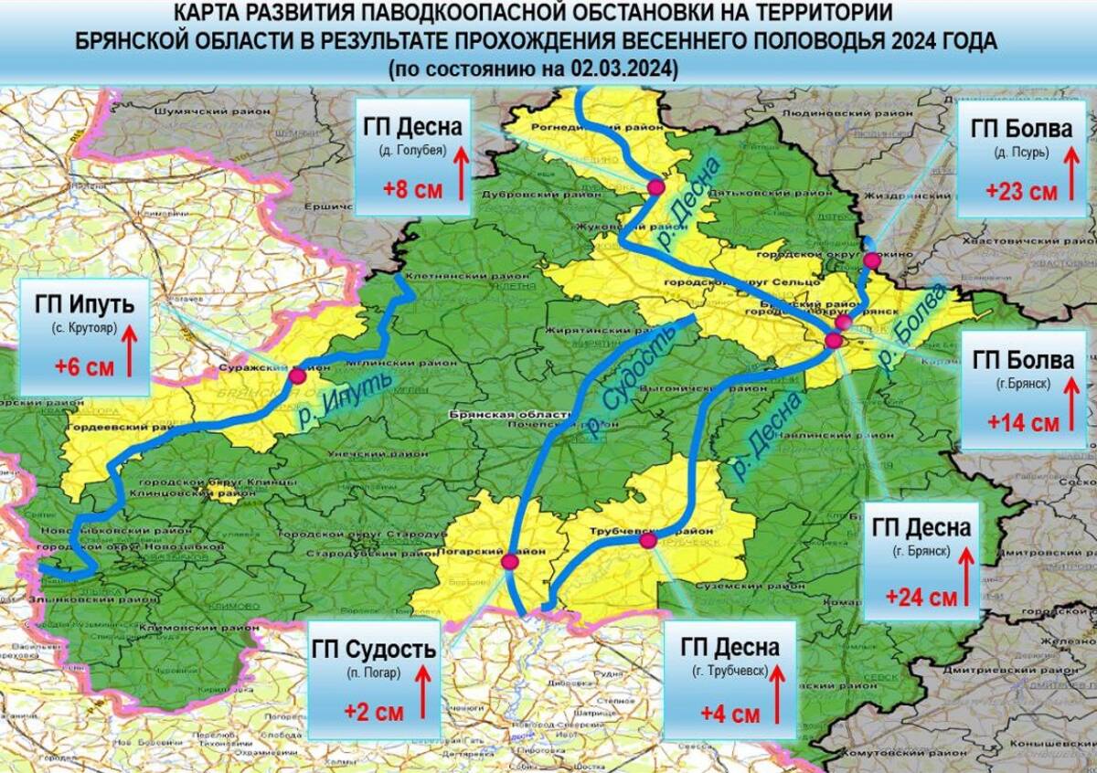 В Брянской области из-за паводка затопило 11 домов на территории Почепа