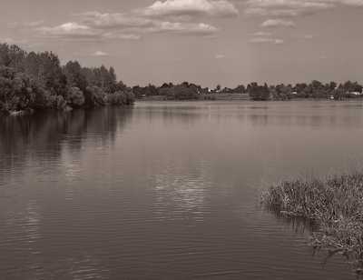 В Клинцах не нашли загрязнений на Стодольском озере