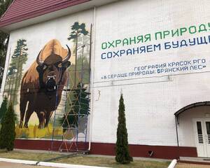 На фасаде школы №59 в Брянске появился потрясающий мурал