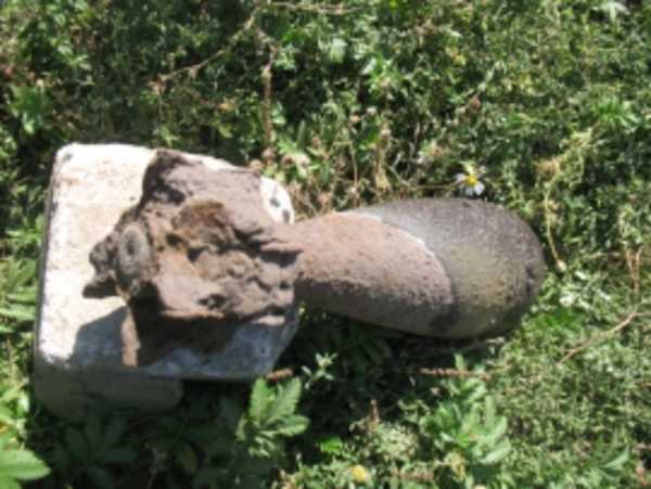В лесу под Брянском нашли авиационную бомбу времён войны