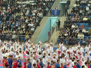 В Брянске состоялся всероссийский фестиваль боевых искусств «Крымская весна»