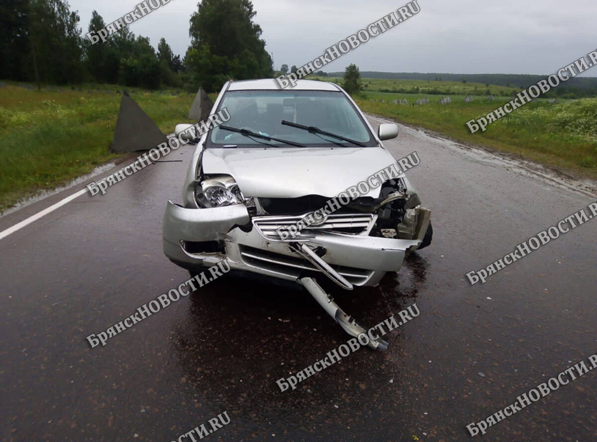 В Климовском районе автоледи разбила машину о «зубы дракона»