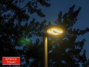 Брянскстат: Брянщина импортирует большую часть электроэнергии из других регионов