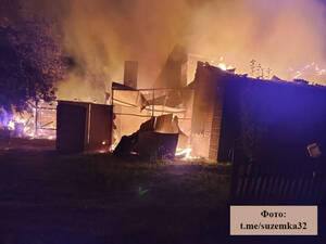 Брянцам показали кадры «огненного ада» в Суземском районе