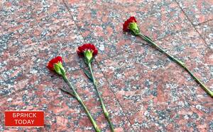 Украинский террор в Погарском районе: погибли двое