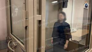 57 уголовных дел возбудил брянский СК из-за хищений в сфере нацпроектов