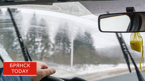 В Брянской области на границе с Белоруссией образовалась дикая пробка