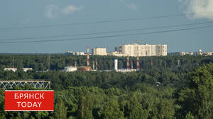 Для удара по брянскому нефтепроводу ВСУ использовали БПЛА-«камикадзе»