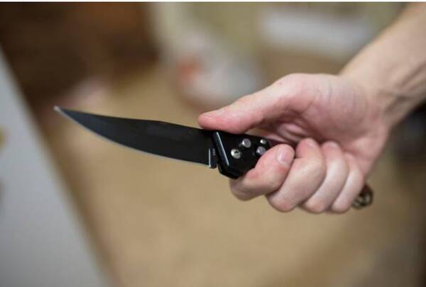 В Подмосковье мужчина с ножом пытался напасть на детей