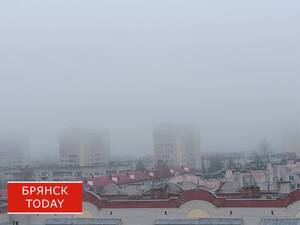 Жёлтый уровень опасности ввели в Брянской области