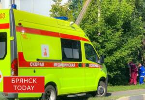 В ДТП в Брянской области за сутки пострадали трое детей