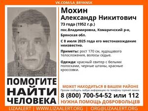 В Брянской области ищут пропавшего 73-летнего Александра Мохина
