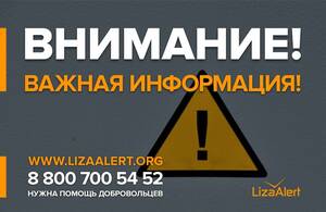 Поисковики «Лиза Алерт» предупредили брянцев о сбоях горячей линии