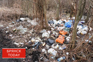 Суд обязал администрацию Брянска ликвидировать свалку в Володарском районе