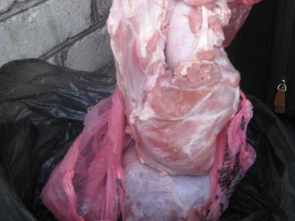 Украинцы везли через Брянск в поезде 67 кило подозрительного мяса