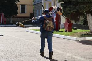 В Брянске продолжается покос травы