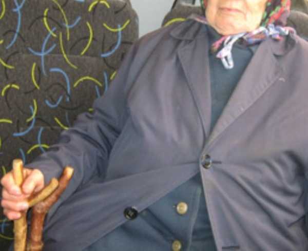 В брянском микроавтобусе водитель уронил пенсионерку