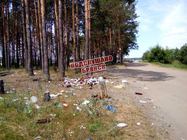 В Брянске чиновников обязали освободить озеро Орлик от мусора