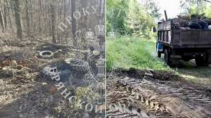 В Дубровском районе участок у леса очистили от отходов и строительного мусора