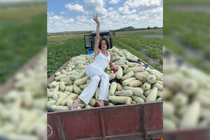 Кабачки из-под Ивлеевой могут оказаться на столе брянцев