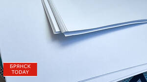 В Брянском районе чиновника оштрафовали за «медлительность»