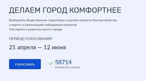 Более 58 тысяч брянцев проголосовали за объекты благоустройства