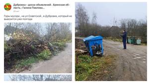 В Дубровке ликвидировали свалку после пинка от прокуратуры