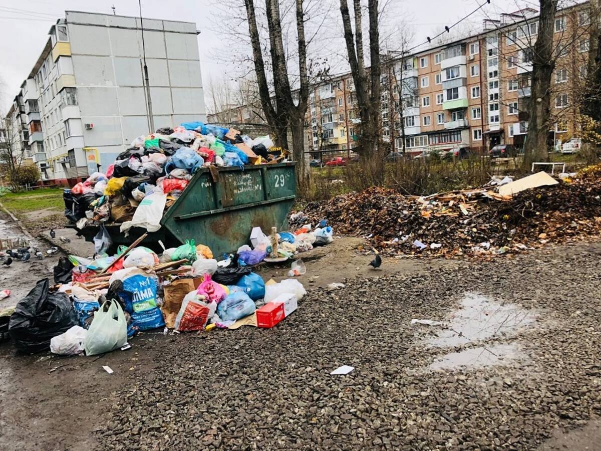 В Брянске заметили мусорный апокалипсис на Новом Городке