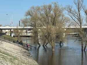 «Ступени уходят под воду»: брянцы сообщили о подъёме уровня на набережной