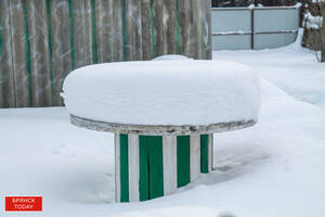 Московский синоптик обошел брянского Тишковца на 1 см