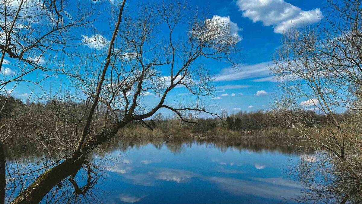 В Брянске уровень воды в реках продолжил убывать | 06.04.2024 | Брянск -  БезФормата