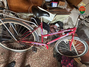 У брянца из дома похитили велосипед и триммеры