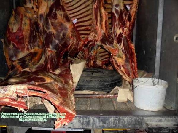 На Брянщину не пустили 4,4 тонны говядины из Беларуси