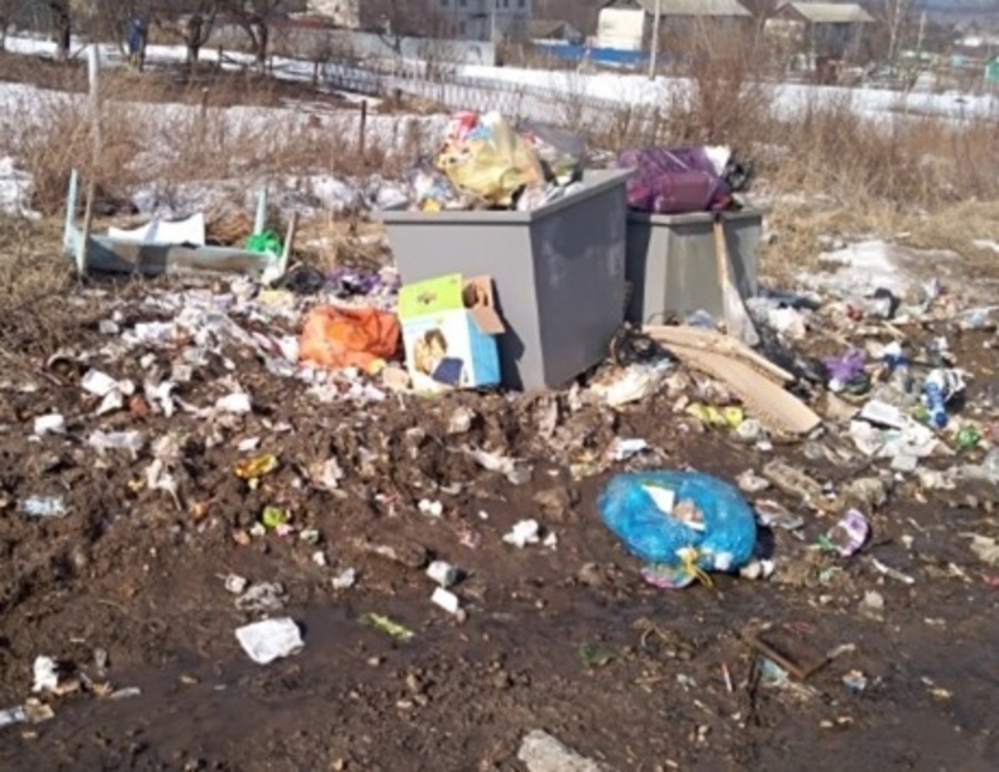 В Жуковском районе село Речица зарастает мусором