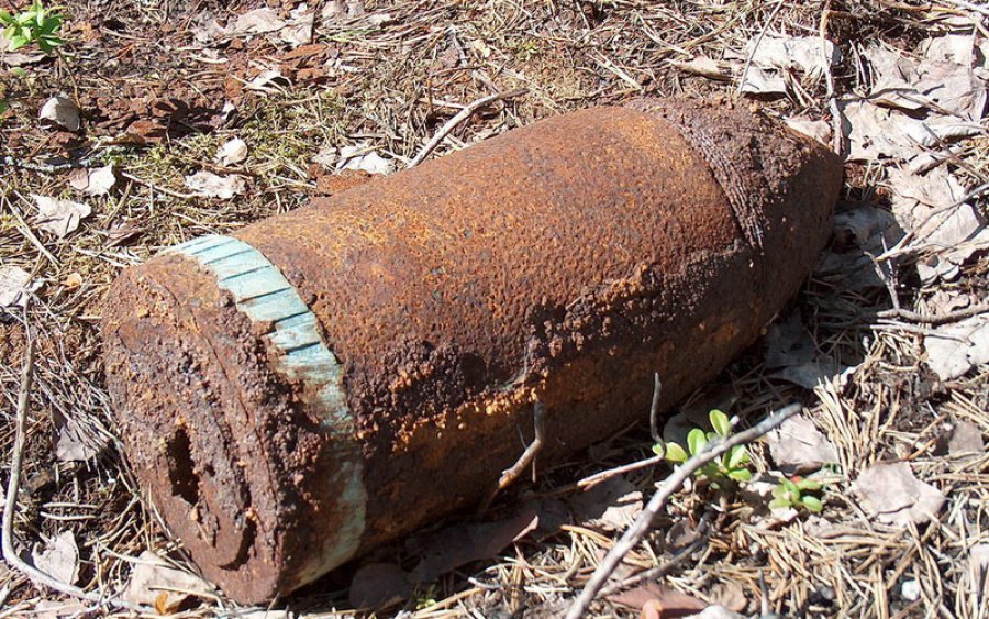 В брасовском лесу нашли ржавый артиллерийский снаряд