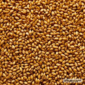 Незаконную партию зерна задержали в Злынковском районе Брянской области