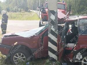 В Дубровском районе спасатели помогли пострадавшему в ДТП